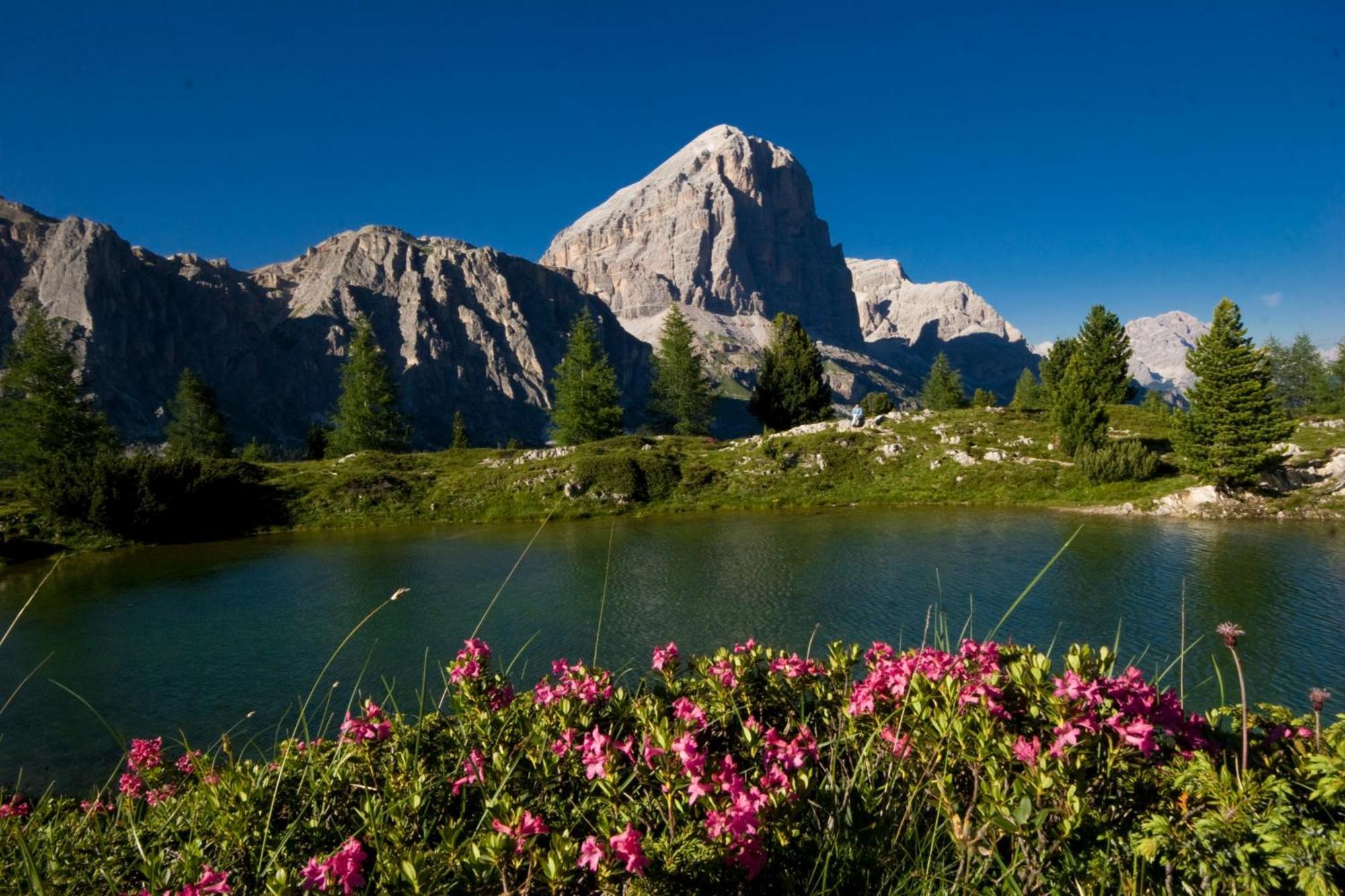 Ciasa Vervei Cortina dʼAmpezzo Dış mekan fotoğraf